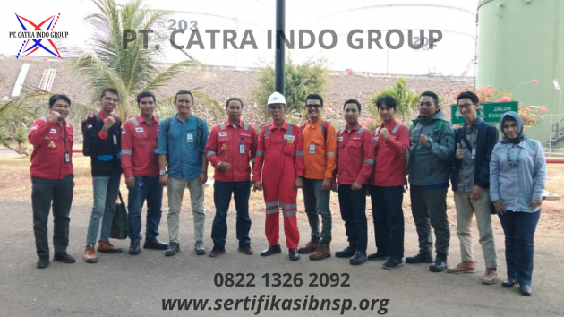 Standar Kompetensi Profesi Nasional